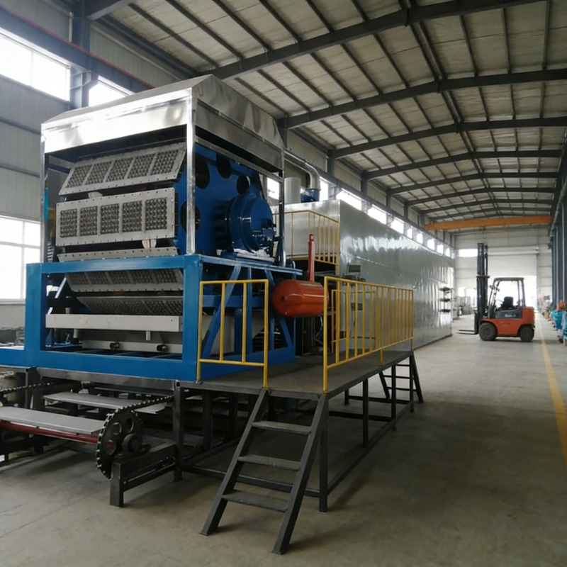 Coffee Equipment Tray - High Output Rotary Egg Tray Machine